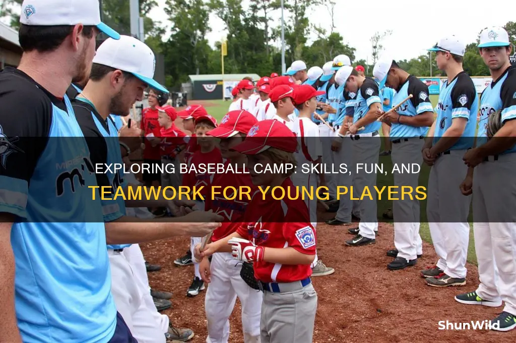 what is baseball camp