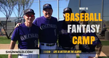 Experience Baseball Like a Pro: Exploring the Magic of Fantasy Camp