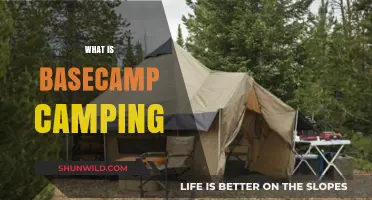 Basecamp Camping 101: Your Ultimate Guide to Outdoor Adventures
