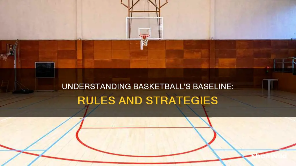 what is baseline in basketball