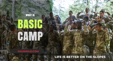 Understanding Basic Camp: A Beginner's Guide to Military Training Essentials