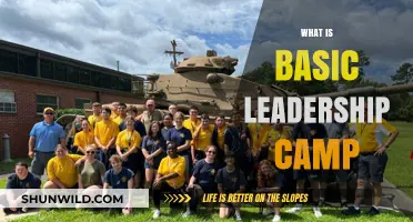 Exploring the Fundamentals of Basic Leadership Camp: A Beginner's Guide