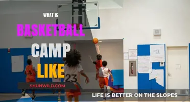 Experience Basketball Camp: Skills, Fun, and Teamwork Explained