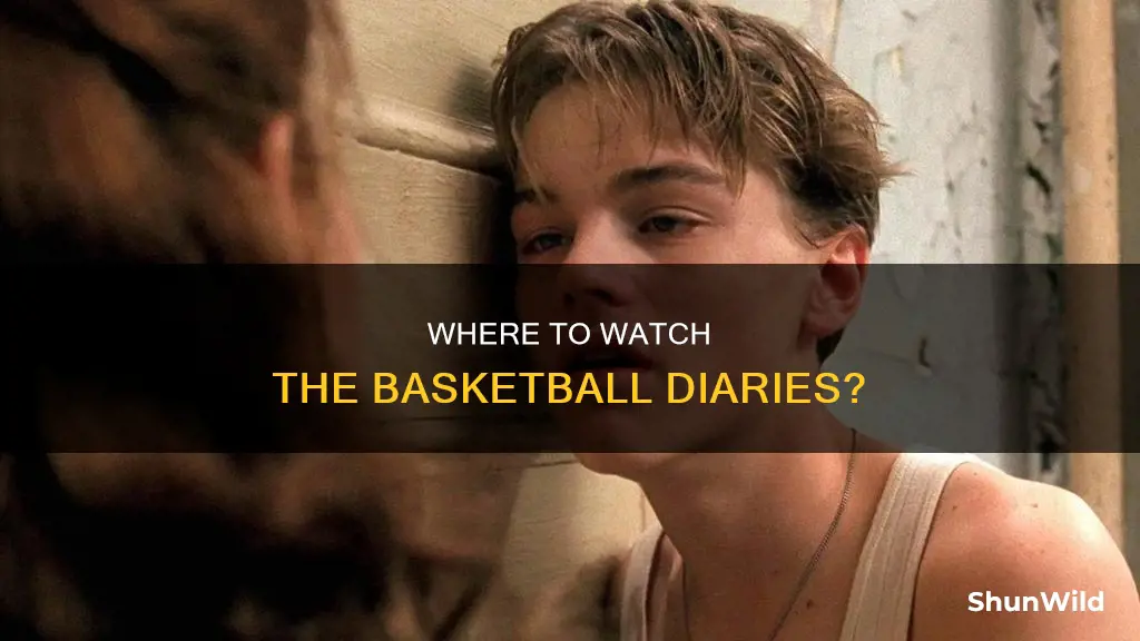 what is basketball diaries available on