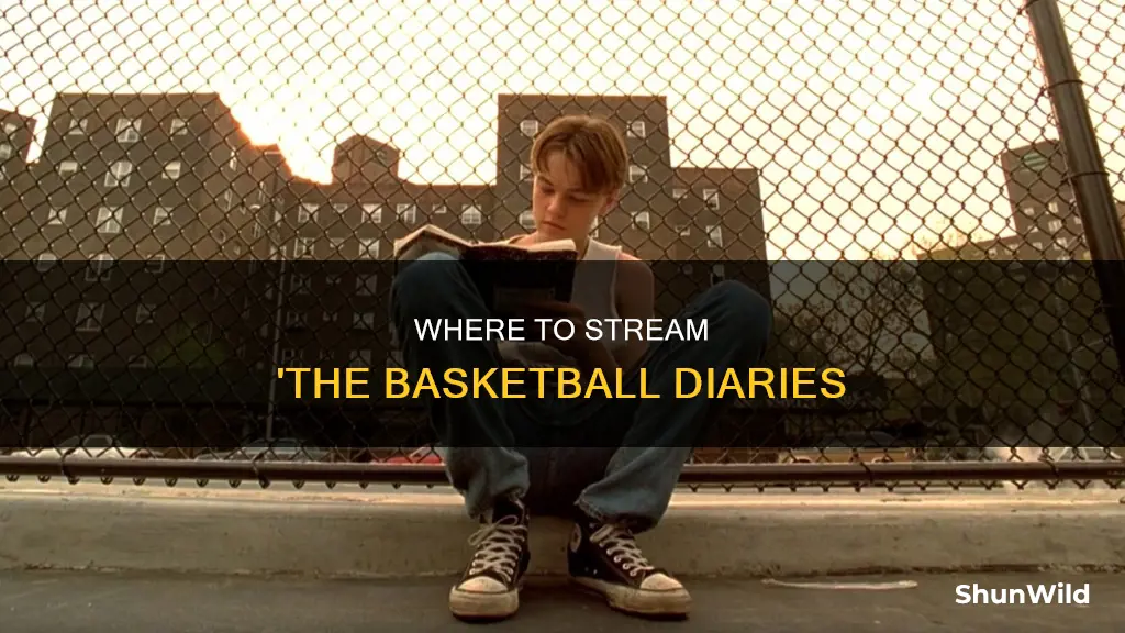what is basketball diaries streaming on