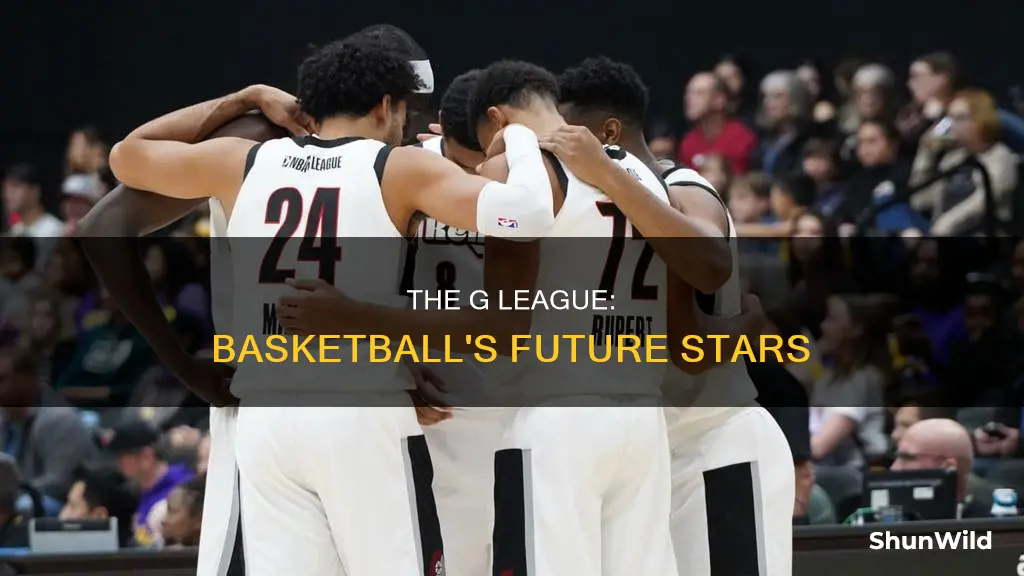 what is basketball g league