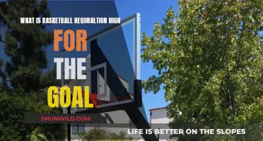 Basketball Hoop Height: Regulation Standard for Goals