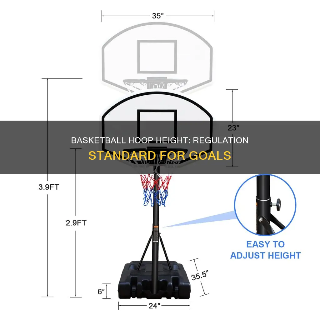 what is basketball requraltion high for the goal