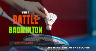 Badminton's Battle Mode: A New Sport Explained