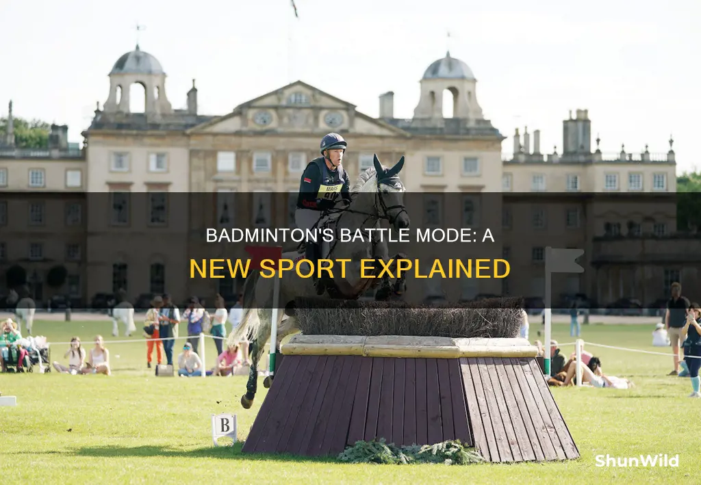 what is battle badminton