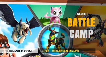 Exploring Battle Camp: A Beginner's Guide to the Ultimate Adventure