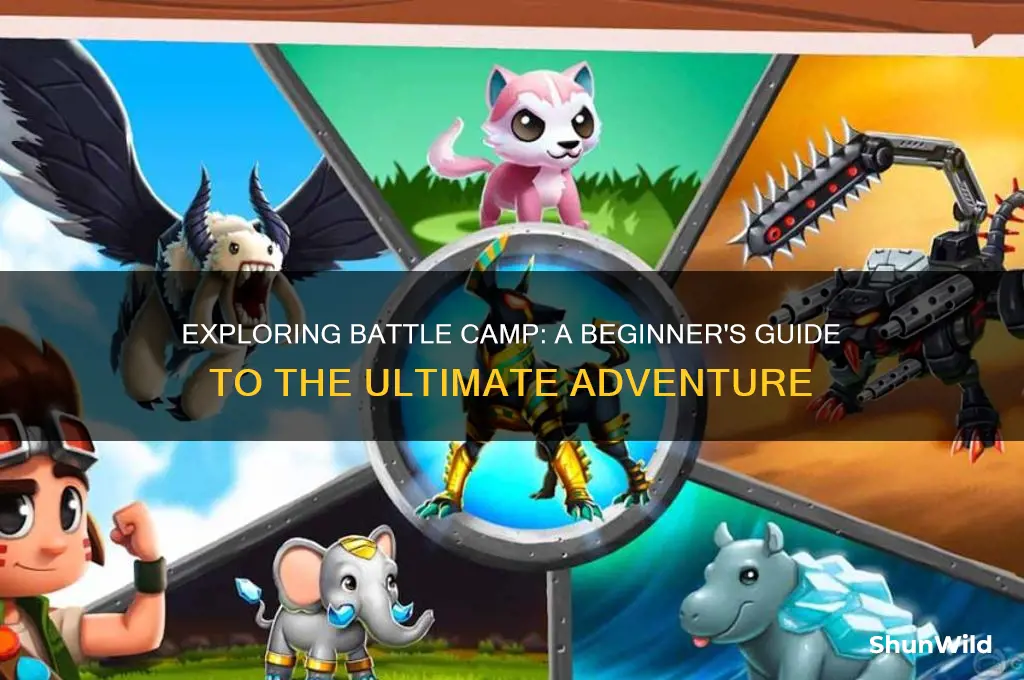 what is battle camp