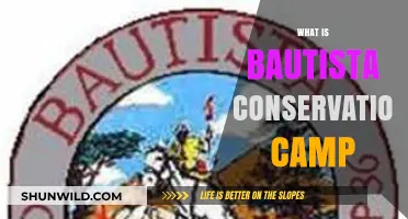 Exploring Bautista Conservation Camp: Purpose, Programs, and Environmental Impact