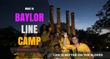 Discover Baylor Line Camp: A Freshmen Tradition and Orientation Experience
