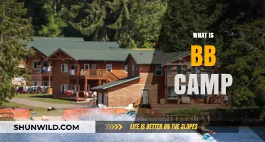 Exploring BB Camp: A Fun, Engaging Adventure for Youth Development