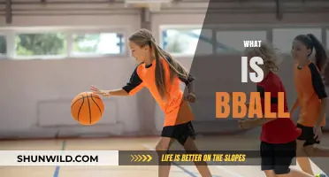 The Fundamentals of Basketball: What is B-Ball?