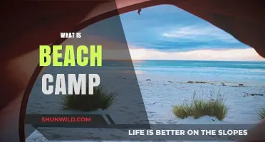 Exploring Beach Camping: A Beginner's Guide to Coastal Adventures