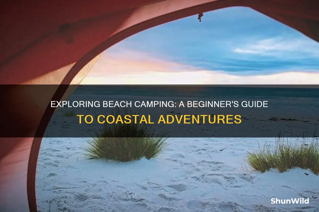 what is beach camp