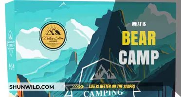 Exploring Bear Camp: A Unique Outdoor Adventure Experience Revealed