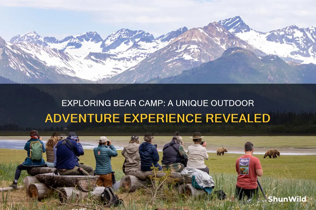 what is bear camp