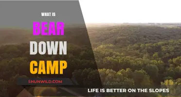 Bear Down Camp Explained: Unveiling the Ultimate Fitness Retreat Experience