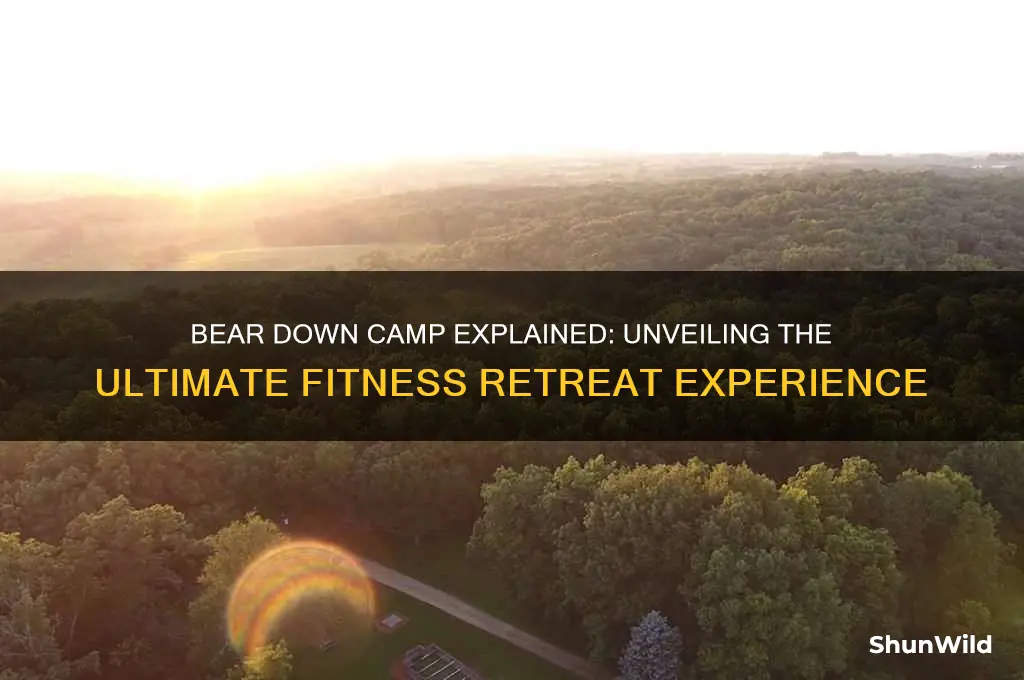 what is bear down camp