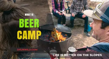 Exploring Beer Camp: A Craft Beer Enthusiast's Ultimate Adventure