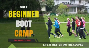 Discover Beginner Boot Camp: Your First Step to Fitness Success