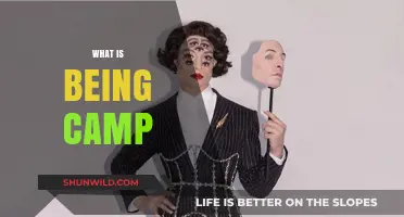 Exploring Camp Culture: Understanding Its Meaning, Style, and Impact