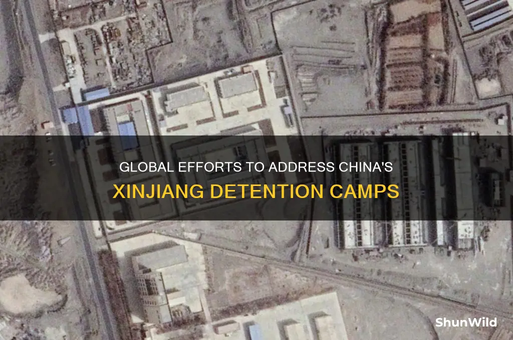 what is being done about china concentration camps