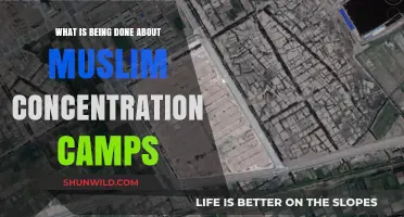 Addressing the Crisis: Global Efforts to End Muslim Concentration Camps