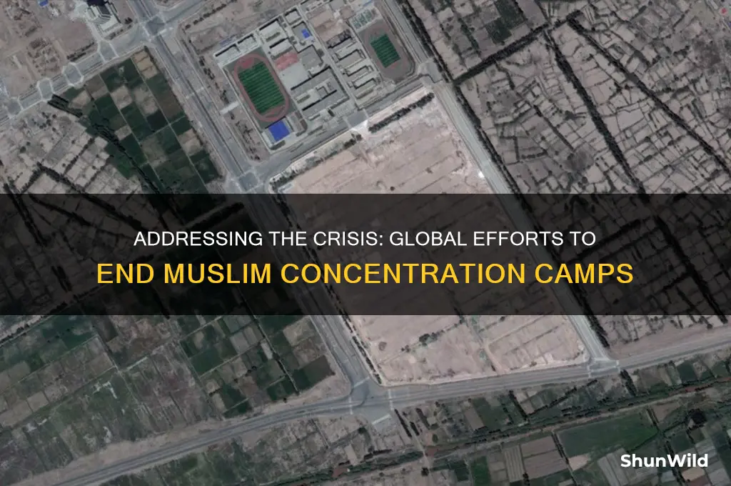 what is being done about muslim concentration camps