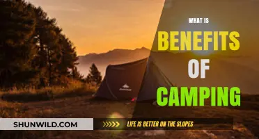 Unplug and Reconnect: Discover the Transformative Benefits of Camping