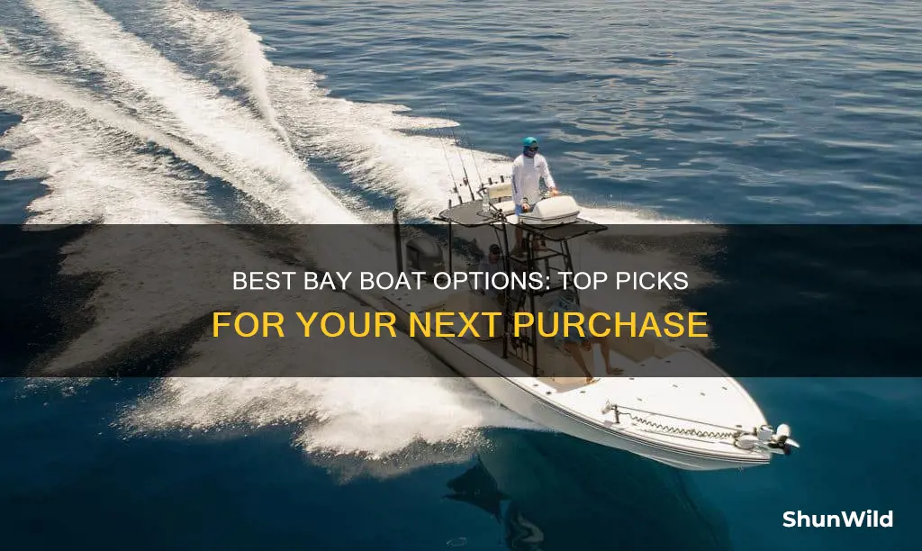 what is best bay boat