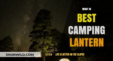 Brighten Your Outdoor Adventures: Choosing the Best Camping Lantern