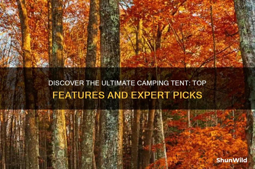 what is best camping tent