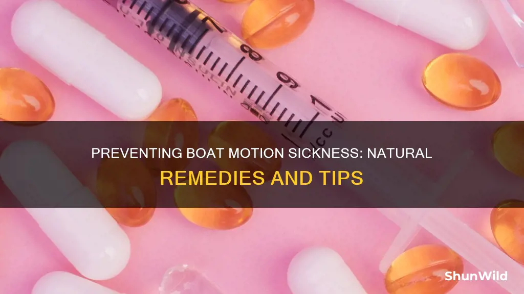 what is best for boat motion sickness