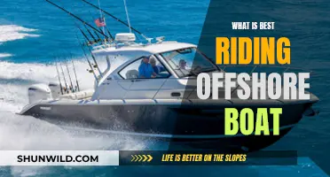 Offshore Riding: Choosing the Best Boat for Your Adventure