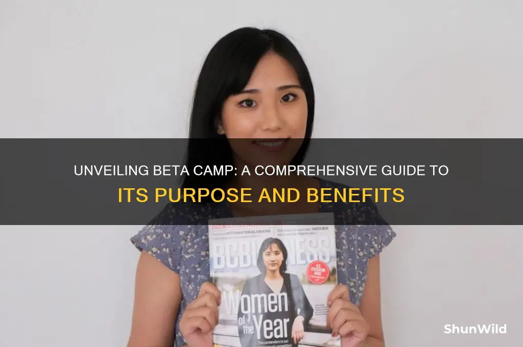 what is beta camp