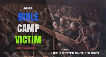 Understanding the Bible Camp Victim Phenomenon: Causes and Impact
