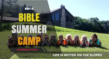 Exploring Faith, Fun, and Fellowship at Bible Summer Camp