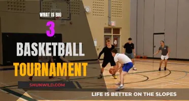 Big 3 Basketball: A Tournament of Legends and Stars