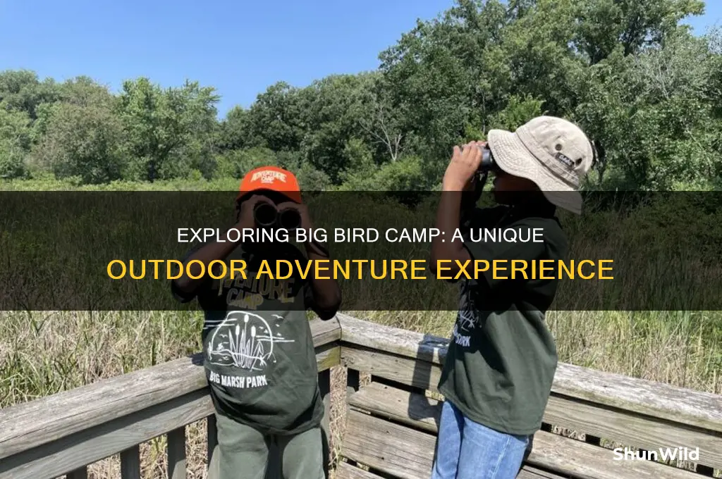 what is big bird camp