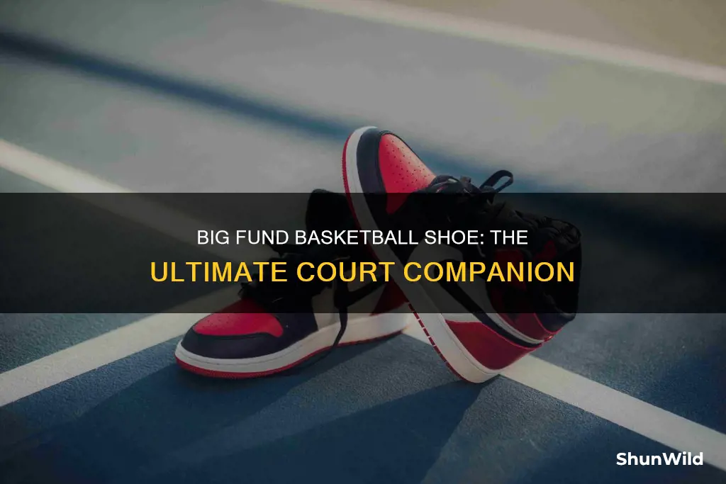 what is big fund basketball shoe