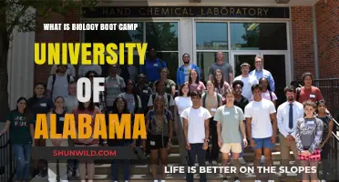 Exploring the University of Alabama's Biology Boot Camp Program