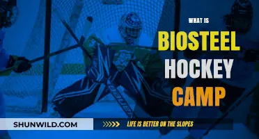 Discover the Ultimate Training Experience at BioSteel Hockey Camp