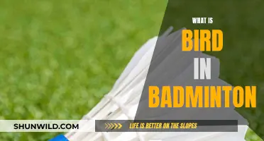 Understanding Bird in Badminton: Mastering the Basics