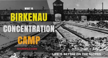 Birkenau Concentration Camp: History, Horrors, and Holocaust Legacy Explained