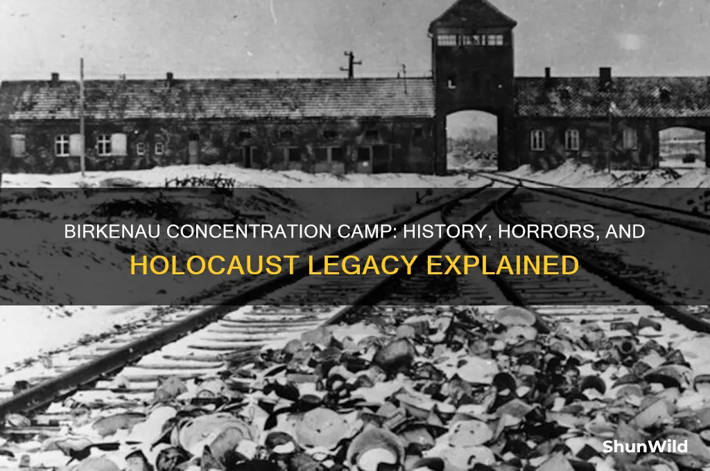 what is birkenau concentration camp