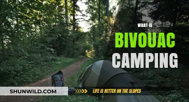 Bivouac Camping Explained: Lightweight, Minimalist Outdoor Adventure Guide